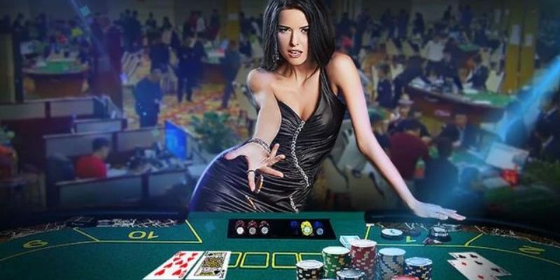 Nhà phát hành hàng đầu mang đến kho game đa dạng và xu hướng hiện đại