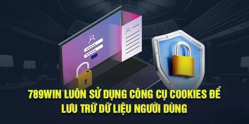 Vấn đề cookies được đặt ra với mục đích gì?